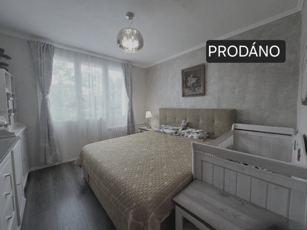 Prodej bytu 2+1,Plzeň