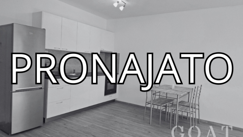 Pronájem bytu 2+kk 55 m², Dobřany