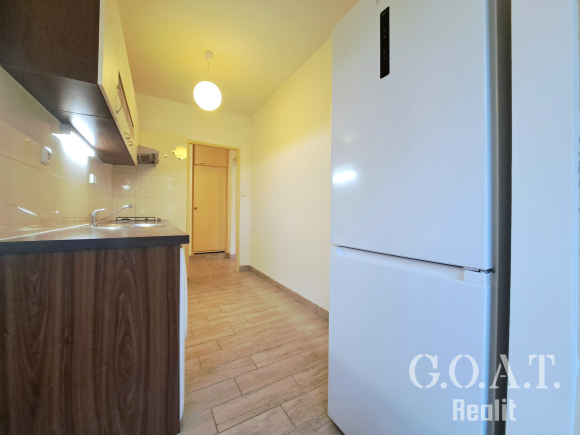 Pronájem bytu 1+1 42 m² Družby, Plzeň - Doubravka (foto 2)