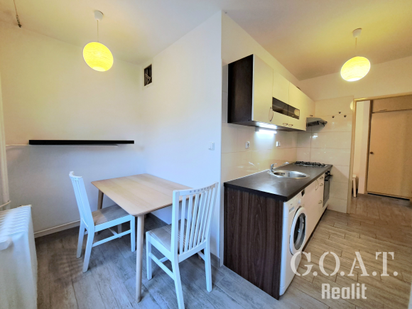 Pronájem bytu 1+1 42 m² Družby, Plzeň - Doubravka (foto 3)