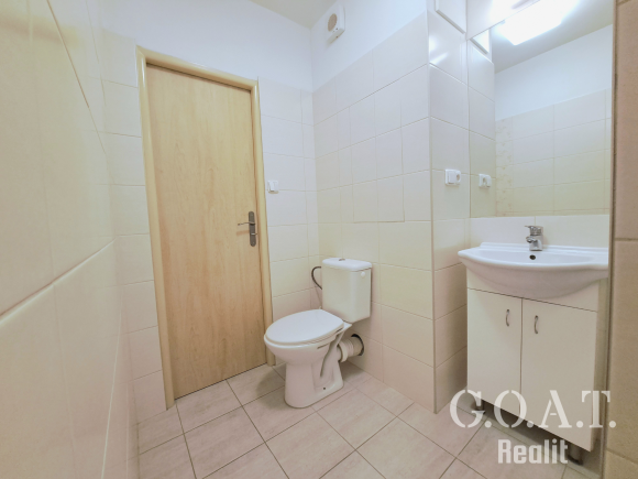 Pronájem bytu 1+1 42 m² Družby, Plzeň - Doubravka (foto 12)
