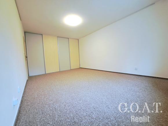 Pronájem bytu 1+1 42 m² Družby, Plzeň - Doubravka (foto 5)
