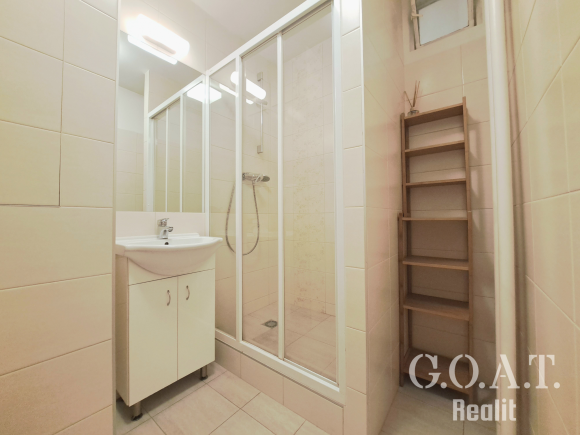 Pronájem bytu 1+1 42 m² Družby, Plzeň - Doubravka (foto 10)