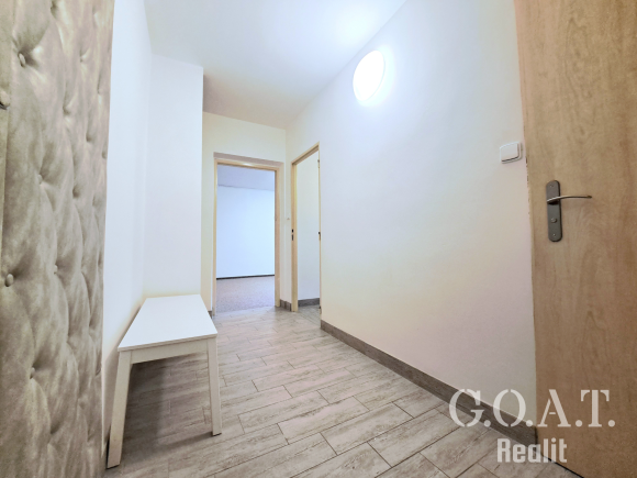 Pronájem bytu 1+1 42 m² Družby, Plzeň - Doubravka (foto 9)