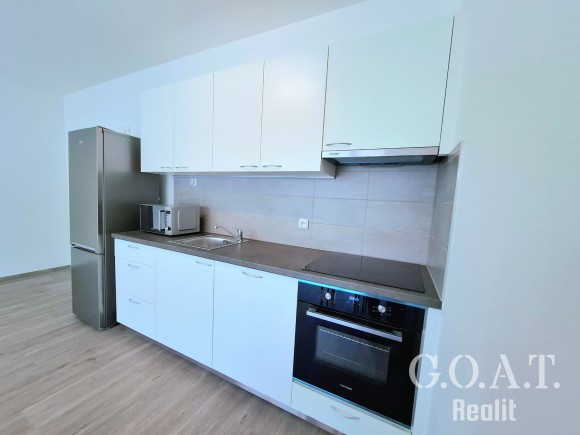 Pronájem bytu 2+kk 55 m², Dobřany (foto 1)