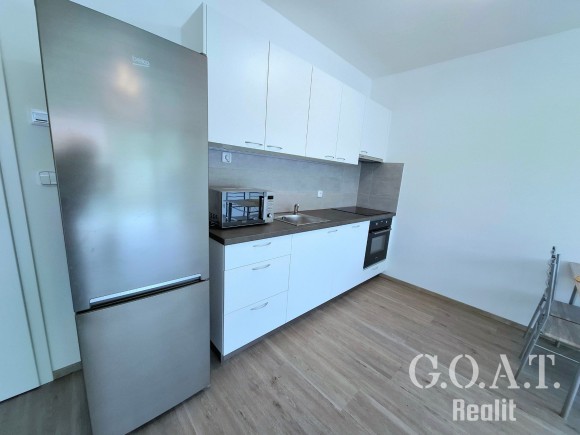 Pronájem bytu 2+kk 55 m², Dobřany (foto 3)