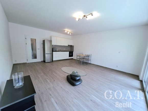 Pronájem bytu 2+kk 55 m², Dobřany (foto 5)
