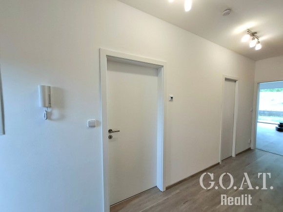 Pronájem bytu 2+kk 55 m², Dobřany (foto 6)