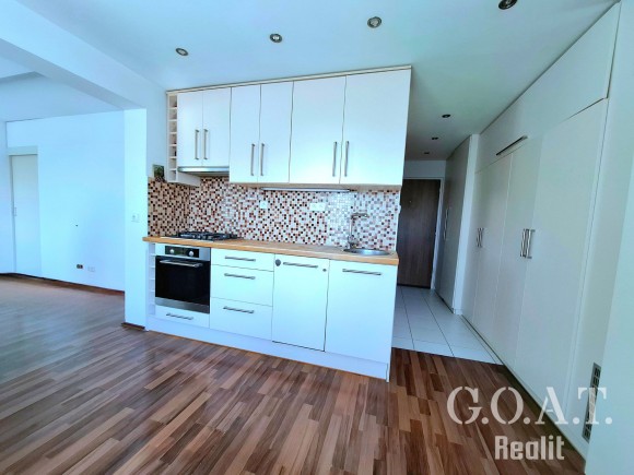 Prodej 2kk 40 m², Plzeň - Slovany (foto 2)