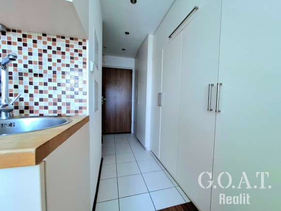 Prodej 2kk 40 m², Plzeň - Slovany (foto 5)
