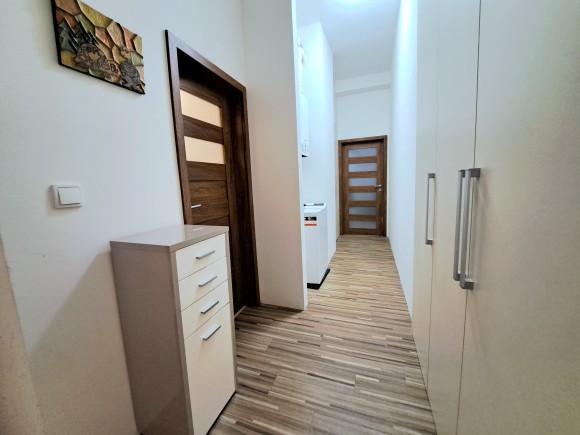 Byt 2+kk , Hálkova, Plzeň (foto 11)
