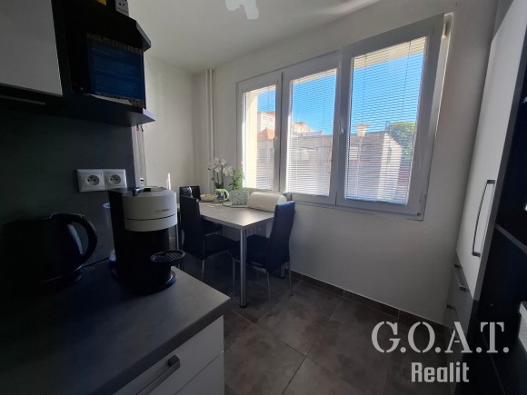 Prodej bytu 2+1 57 m², Plzeň - Rokycanská ul. (foto 1)