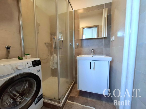 Prodej bytu 2+1 57 m², Plzeň - Rokycanská ul. (foto 9)