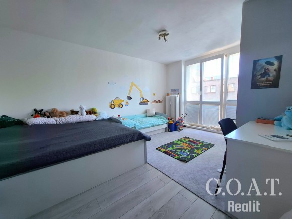 Prodej bytu 2+1 57 m², Plzeň - Rokycanská ul. (foto 4)