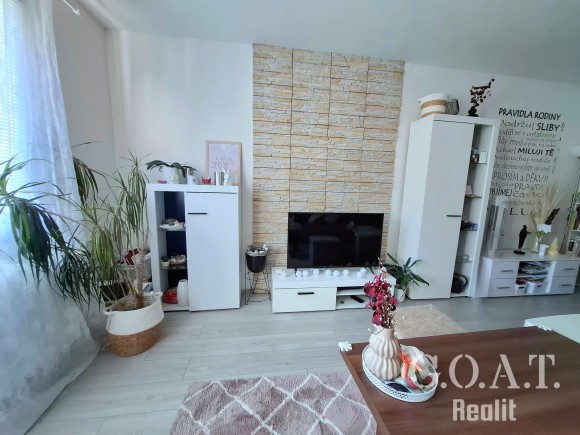 Prodej bytu 2+1 57 m², Plzeň - Rokycanská ul. (foto 5)