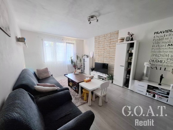 Prodej bytu 2+1 57 m², Plzeň - Rokycanská ul. (foto 6)
