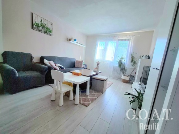 Prodej bytu 2+1 57 m², Plzeň - Rokycanská ul. (foto 7)