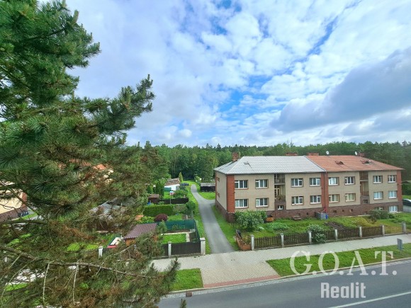Prodej bytu 3+1, Horní Bříza (foto 20)
