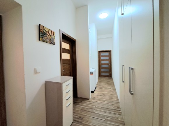 Byt 2+kk , Hálkova, Plzeň (foto 13)