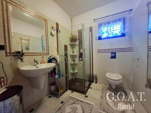 Prodej rodinného domu 279 m², Plzeň - Lhota (foto 26)
