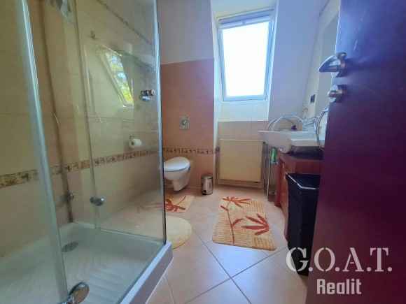 Prodej rodinného domu 279 m², Plzeň - Lhota (foto 44)