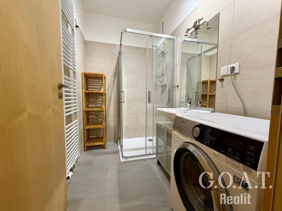 Pronájem bytu 1+kk 38 m² (foto 10)