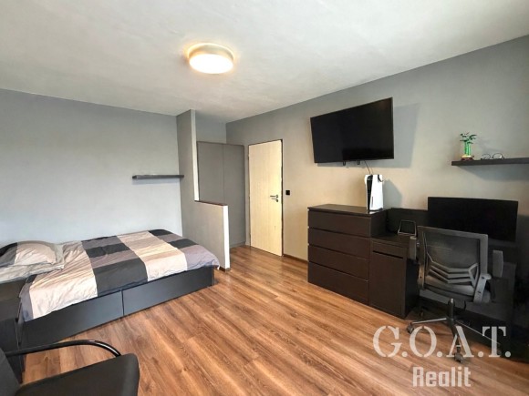 Prodej bytu 1+1 36 m² Na Dlouhých, Plzeň (foto 1)