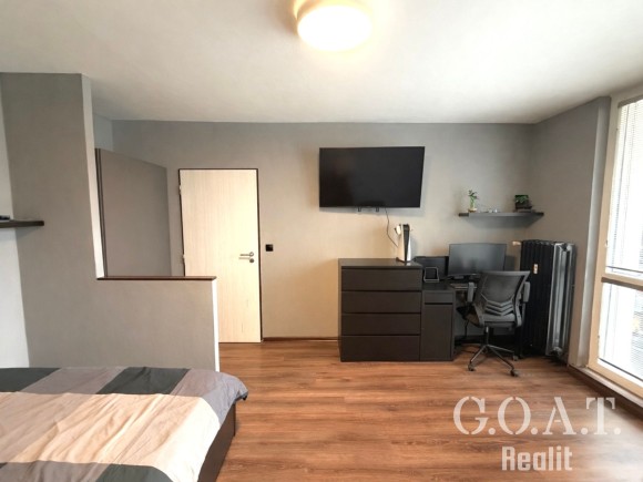 Prodej bytu 1+1 36 m² Na Dlouhých, Plzeň (foto 2)