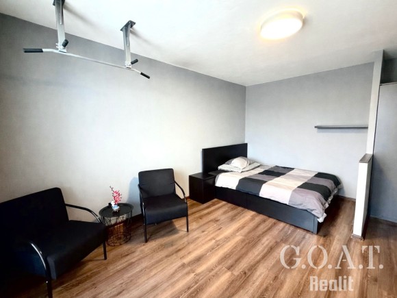 Prodej bytu 1+1 36 m² Na Dlouhých, Plzeň (foto 3)