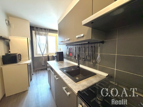 Prodej bytu 1+1 36 m² Na Dlouhých, Plzeň (foto 11)