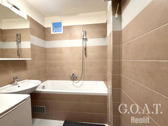 Prodej bytu 1+1 36 m² Na Dlouhých, Plzeň (foto 12)