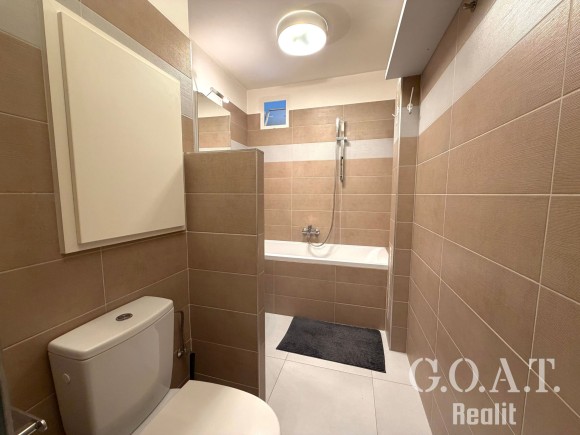 Prodej bytu 1+1 36 m² Na Dlouhých, Plzeň (foto 13)