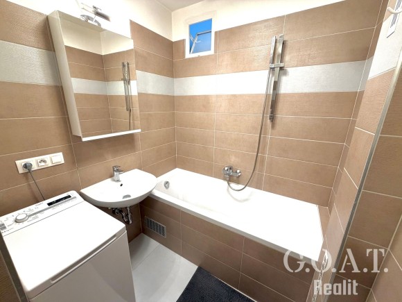 Prodej bytu 1+1 36 m² Na Dlouhých, Plzeň (foto 14)