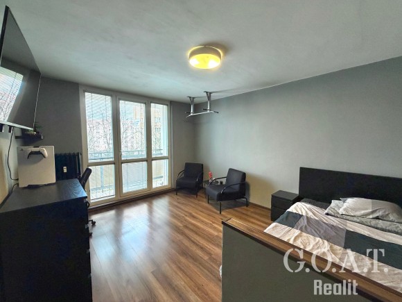 Prodej bytu 1+1 36 m² Na Dlouhých, Plzeň (foto 4)