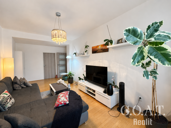 Prodej bytu 2+1 54 m² Jablonského, Plzeň - Východní Předměstí (foto 2)