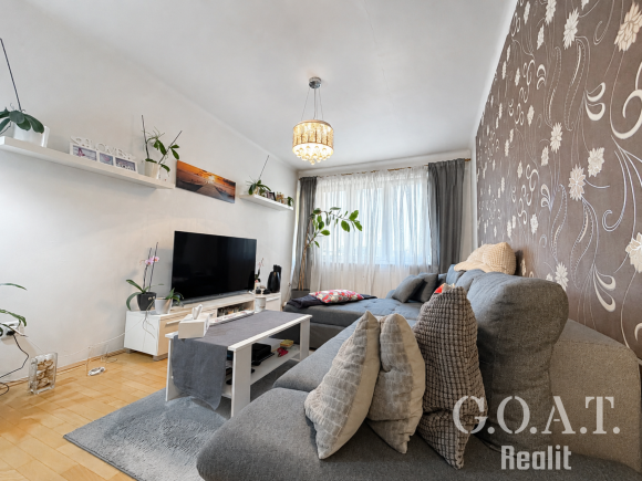 Prodej bytu 2+1 54 m² Jablonského, Plzeň - Východní Předměstí (foto 3)
