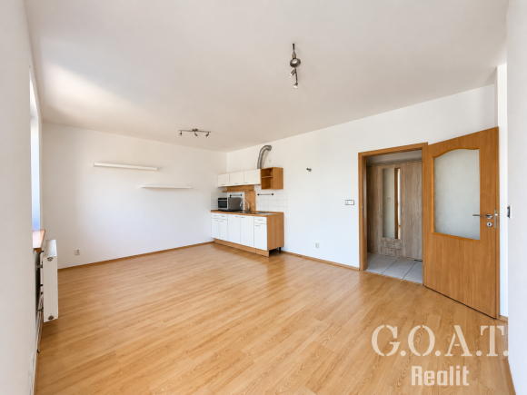 Prodej bytu 1+kk 44 m² Karlova, Plzeň - Jižní Předměstí (foto 6)