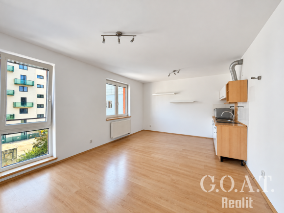 Prodej bytu 1+kk 44 m² Karlova, Plzeň - Jižní Předměstí (foto 7)