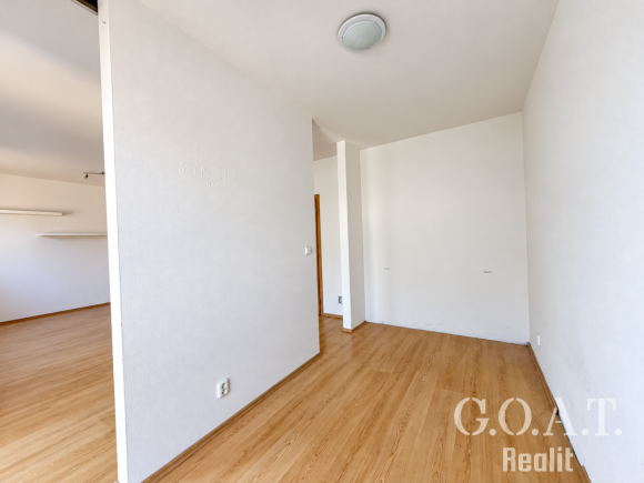 Prodej bytu 1+kk 44 m² Karlova, Plzeň - Jižní Předměstí (foto 8)