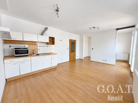 Prodej bytu 1+kk 44 m² Karlova, Plzeň - Jižní Předměstí (foto 1)