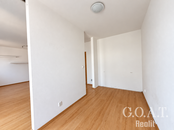 Prodej bytu 1+kk 44 m² Karlova, Plzeň - Jižní Předměstí (foto 10)