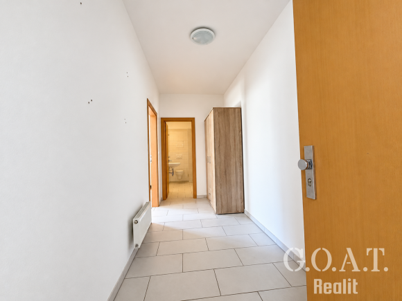Prodej bytu 1+kk 44 m² Karlova, Plzeň - Jižní Předměstí (foto 5)