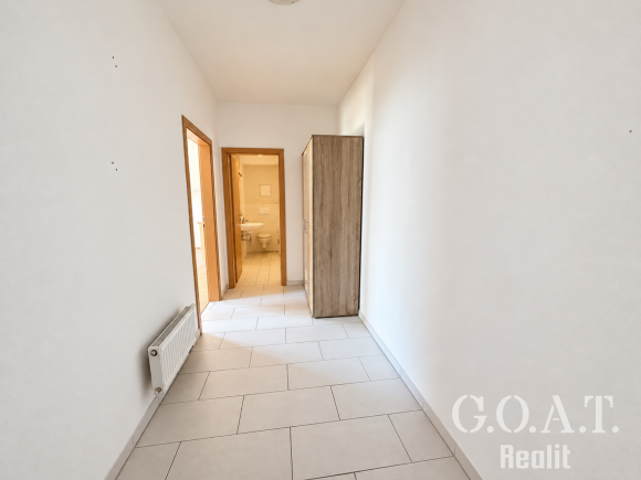 Prodej bytu 1+kk 44 m² Karlova, Plzeň - Jižní Předměstí (foto 11)
