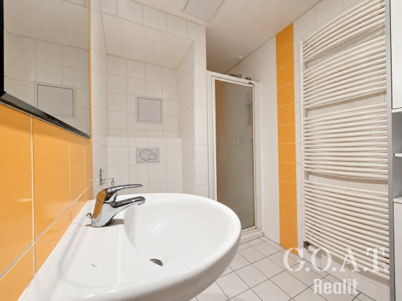Prodej bytu 1+kk 44 m² Karlova, Plzeň - Jižní Předměstí (foto 12)