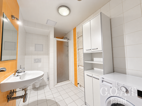 Prodej bytu 1+kk 44 m² Karlova, Plzeň - Jižní Předměstí (foto 13)