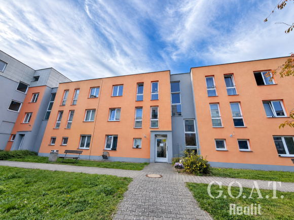 Prodej bytu 1+kk 44 m² Karlova, Plzeň - Jižní Předměstí (foto 18)