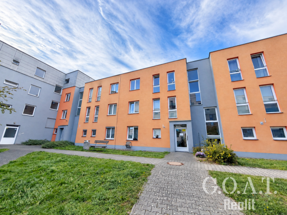 Prodej bytu 1+kk 44 m² Karlova, Plzeň - Jižní Předměstí (foto 23)