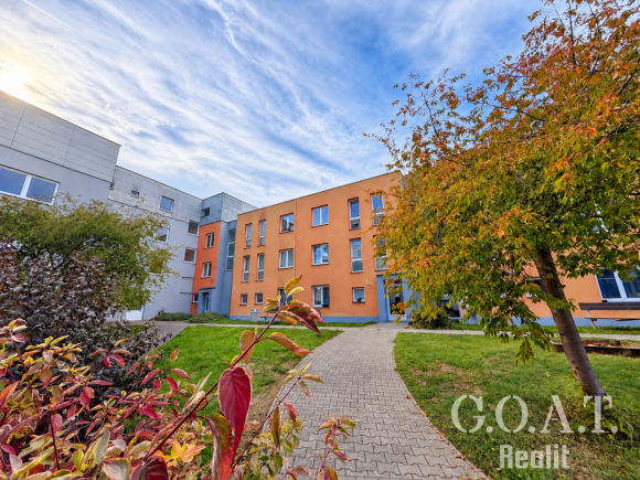 Prodej bytu 1+kk 44 m² Karlova, Plzeň - Jižní Předměstí (foto 19)