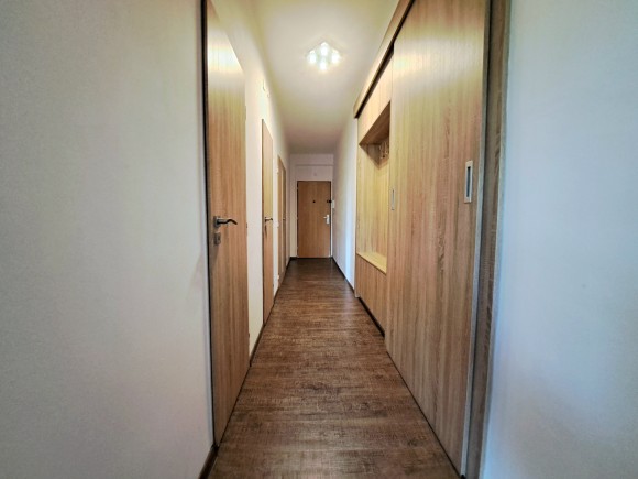 Prodej bytu 3+1, Horní Bříza (foto 20)